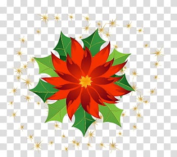 CHRISTMAS MEGA, red poinsettia illustration transparent background PNG clipart