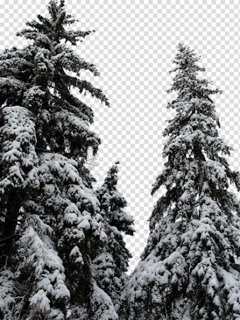 CHRISTMAS MEGA, tree illustraiton transparent background PNG clipart