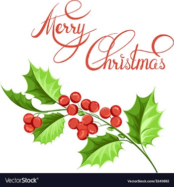  					Christmas mistletoe branch drawing vector image														