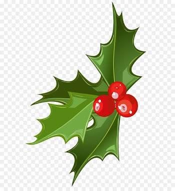 Christmas Mistletoe Common holly Clip art - Christmas Mistletoe Picture 