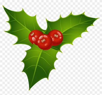 Christmas Mistletoe Png Clipart - Mistletoe Clipart