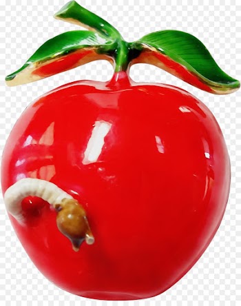 Christmas ornament
