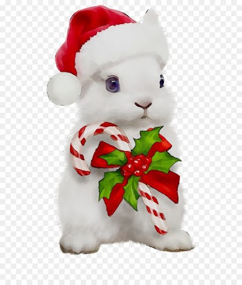 Christmas Ornament, Character, Stuffed Animals Cuddly Toys, Christmas, Holiday PNG