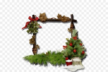 Christmas Ornament, Christmas Day, New Year, Christmas Decoration, Oregon Pine PNG