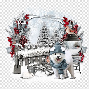 Christmas ornament Christmas Day Winter, winter solstice activities transparent background PNG clipart