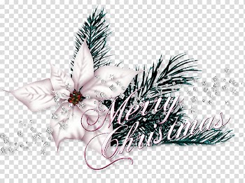 Christmas ornament, christmas transparent background PNG clipart