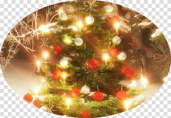 Christmas ornament Christmas tree Christmas Day, Pink Glitter Pumpkins transparent background PNG clipart