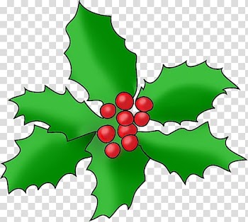 Christmas ornament Drawing , red berries transparent background PNG clipart