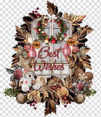 Christmas ornament Pine family Pine family, christmas transparent background PNG clipart