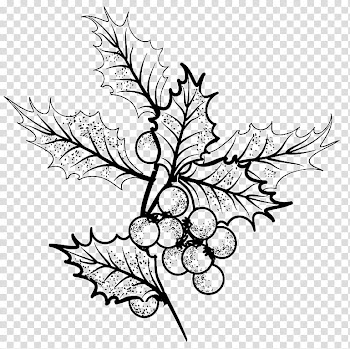 Christmas ornaments brushes, black leaf and fruit illustrations transparent background PNG clipart