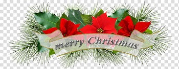 Christmas ornaments, red flowers with Merry Christmas text overlay transparent background PNG clipart