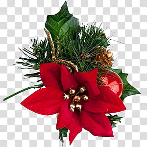 Christmas Ornaments s, red and green Christmas decoration transparent background PNG clipart