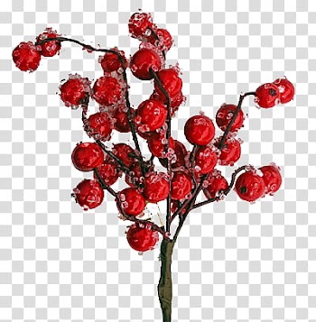 Christmas Ornaments s, red petaled flowers transparent background PNG clipart