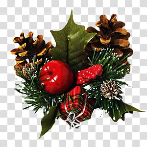 Christmas Ornaments s, two pinecones and green maple leaf with gift box illustration transparent background PNG clipart