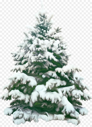 Christmas Picture Frames - fir-trees 