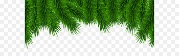 Christmas Pine Clip art - Christmas Pine Border PNG Clip Art 