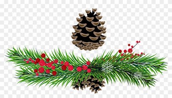 Christmas Pine Cone Clipart - Christmas Pine Cone Clipart