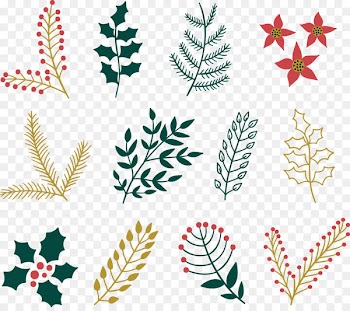 Christmas plants Christmas decoration Christmas ornament Euclidean vector - Vector Christmas decorative plants and flowers 