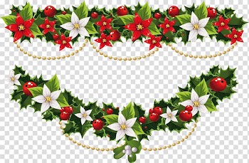 Christmas Poinsettia Joulukukka Flower , christmas transparent background PNG clipart