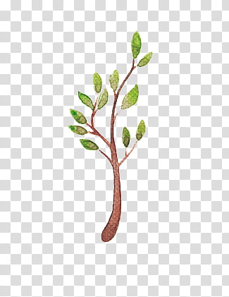 Christmas Resource , brown and green tree illustration transparent background PNG clipart