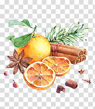 Christmas Resource , cinnamon and sliced lemon illustration transparent background PNG clipart