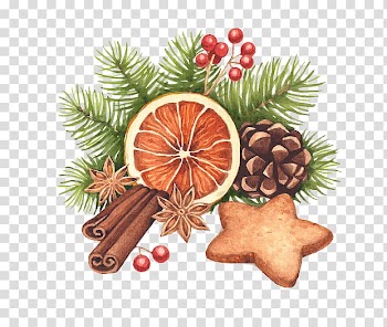 Christmas Resource , drawing of fruits and pine cone transparent background PNG clipart