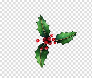 Christmas Resource , green and red leaf transparent background PNG clipart