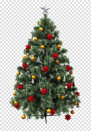 Christmas Resource , green Christmas tree transparent background PNG clipart