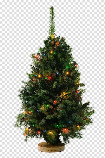 Christmas Resource , green Christmas tree with string lights and baubles transparent background PNG clipart