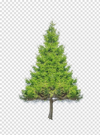 Christmas Resource , green leaf tree illustration transparent background PNG clipart