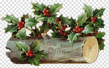 Christmas Resource , green-leafed plant illustration transparent background PNG clipart