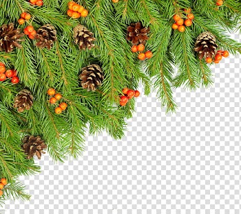 Christmas Resource , pine cones and orange fruits transparent background PNG clipart