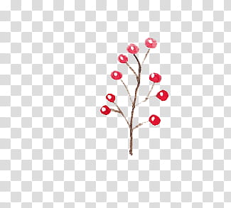 Christmas Resource , red berry illustration transparent background PNG clipart