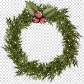 Christmas Santa Claus , Christmas transparent background PNG clipart
