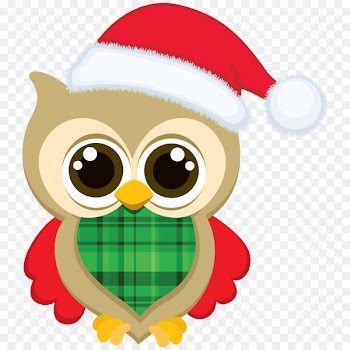 Christmas Santa Claus Clip art - owl vector 