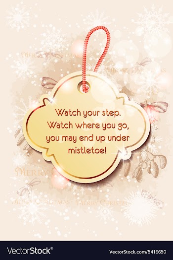 Christmas sticker with snow flake vector image