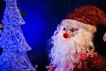 Christmas Themed Decors