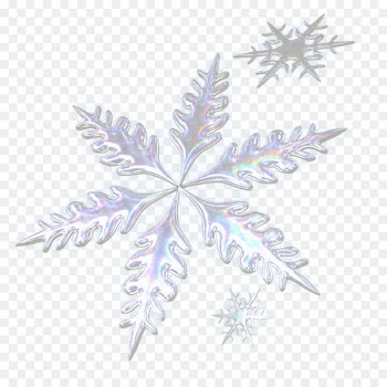 Christmas tree Advent Calendars Snowflake Clip art - Snowing Photo PNG 