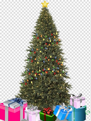 Christmas tree Birthday Christmas ornament Balsam Hill, christmas tree lighting transparent background PNG clipart