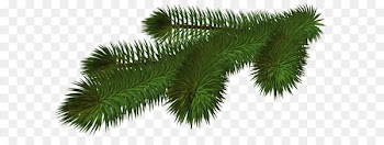 Christmas tree Branch Clip art - Transparent Pine Branch 3D PNG Picture 
