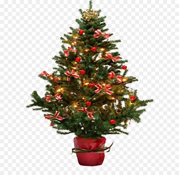 Christmas tree Christmas card - Christmas fir-tree PNG image 