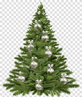 Christmas tree Christmas card Greeting & Note Cards Royal Christmas Message, Wit transparent background PNG clipart