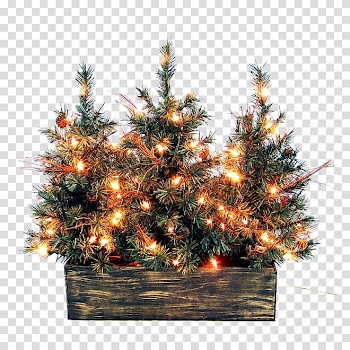 Christmas tree Christmas decoration Christmas ornament, Christmas Outside transparent background PNG clipart