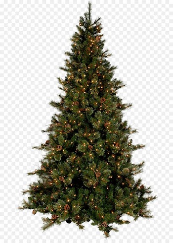 Christmas tree Christmas ornament - A Christmas tree 