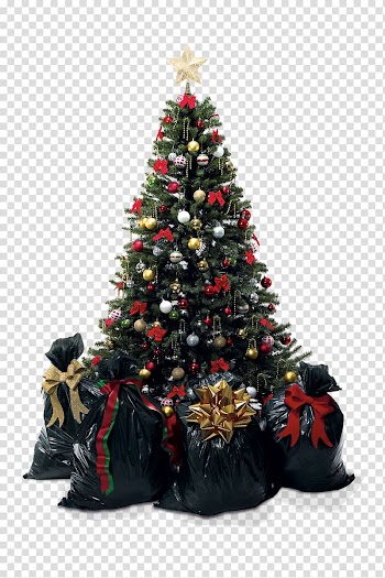 Christmas tree Christmas ornament, christmas tree transparent background PNG clipart