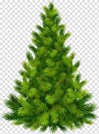 Christmas tree Christmas ornament , Green Pine transparent background PNG clipart