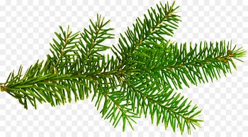Christmas tree Christmas ornament New Year Clip art - pine leaves 