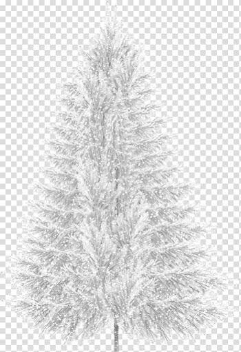 Christmas tree Christmas tree Snow, Creative winter snow transparent background PNG clipart