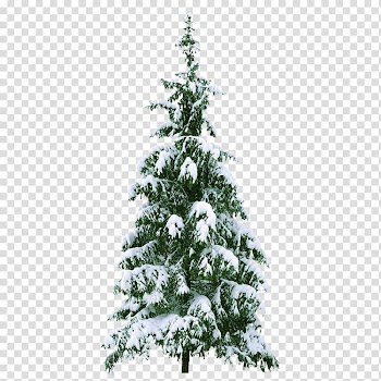 Christmas tree , christmas tree transparent background PNG clipart