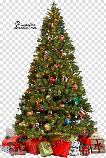 Christmas tree , Christmas Tree transparent background PNG clipart